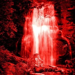 Shizz Wavey Lieutenant