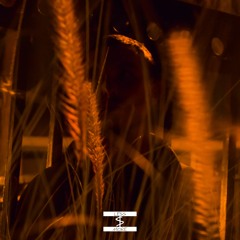 Can't Slow My Roll Ft. Wrek Less (Recognize Remix)