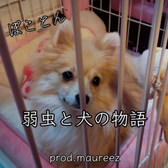 弱虫と犬の物語