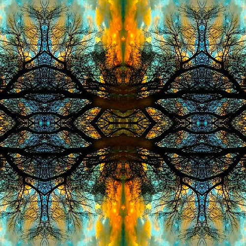 Calyxim Spiraledor