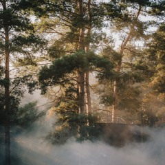 Lenxi hybrid set at Draaimolen Festival 2023