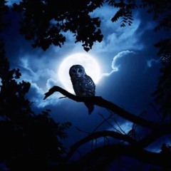 Night Owl (iOS Ringtone Remix)
