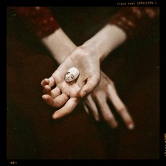 Reethaus Flussbad Berlin 10. Snowflakes