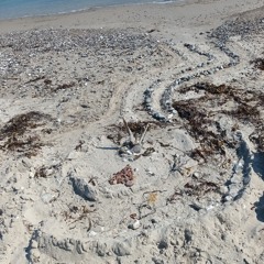 finally he found the delete key right in front of his smarthome, but everything was already gone