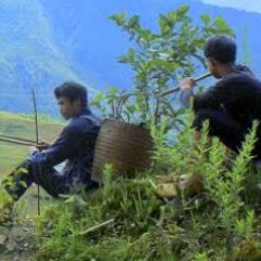 Deep Jungle (feat Topix)