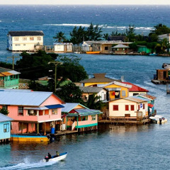 “Nu-Punta” new genre 2025