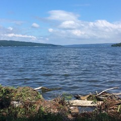 Hard Feelings - Lorde