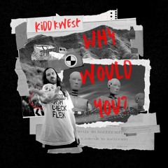 Why Would You (Prod. Foolish Duke)