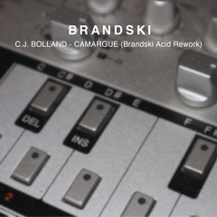 C.J. Bolland - Camargue (Brandski Acid Rework)