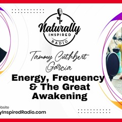 Energy, Frequency, Trump, Aliens And The Great Awakening With Josh Reid