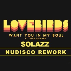 Lovebirds-Want you In My soul (Solazz Nudisco Rework)