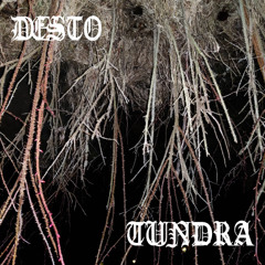 01 Desto - Tundra