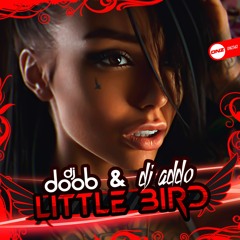 DJ Doob & DJ Addo - Little Bird