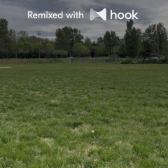 anees - sun and moon (@luckycharm Hook Remix)