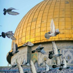 أتعلم اننا اشتقنا🕊المسجد الأقصى