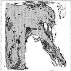 AFGHANISTAN W/ horrificmusic [PROD. BY UGLY TEARS]