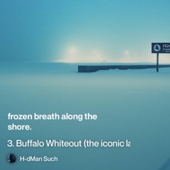 3.-buffalo-whiteout-(the-iconic-lake-effect-city) 2.