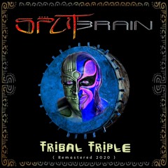 splitbrain
