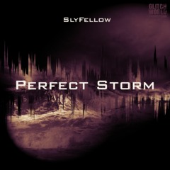 SlyFellow- Perfect Storm (Original mix)