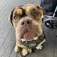 BBCC - Your So Easy To Love [Unreleased]