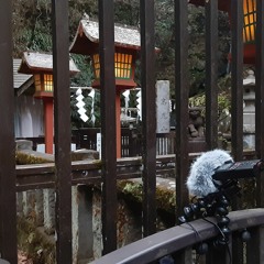 Nature in Tokyo: Biwa Waterfall & the Birds of Mt. Takao／東京の自然：琵琶の滝と高尾山の鳥のさえずり