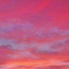 the sky is really pink (me)