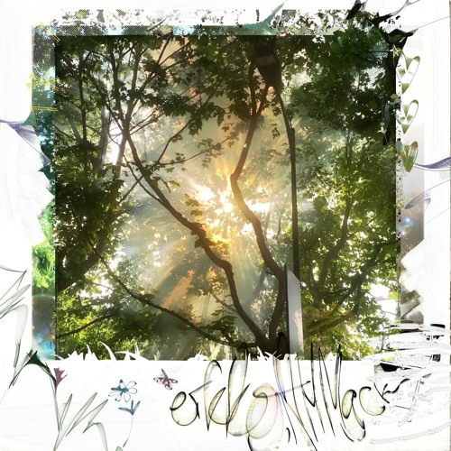eikko, АНМАСК — Полароид