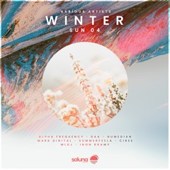 07 Inon Bramy - Watching From Above [Soluna Music]