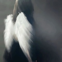 Undercover (feat. schizogod)