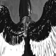 Mr BIRD remix by @7feek (SUPERTRAP)