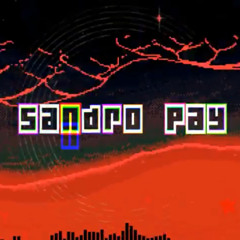 Sandro Pay Freestyle