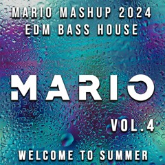 MARIO MASHUP 2024 Vol.4 Summer #BASSHOUSE