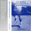 Camargue – Le songe des chevaux sauvages