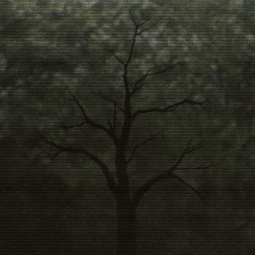 Observe (PROD. SPHYNX)