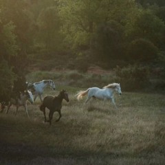 Xanemir-Benda Karkeran