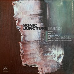 PREMIÈRE: Sonic Juncture - Delta