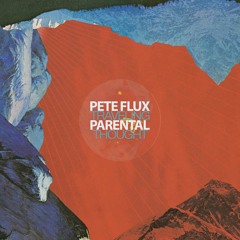 Pete Flux & Parental - Traveling Thought [Instrumental Full Album]