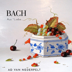 Bach, aria"Aus Liebe" (performer Ad van Nederpelt)