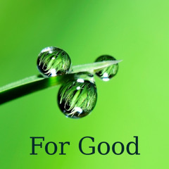 For Good