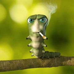 all day playlist 😻😻‼️‼️‼️