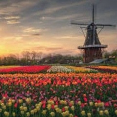 The sounds of Springtime