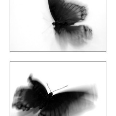 where are we heading?