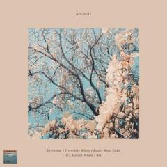 Ape Suit - The Mundane Is Gold (4ND015) [FKOF Premiere]