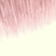 2024 - 05 - 05  LOOK (8)