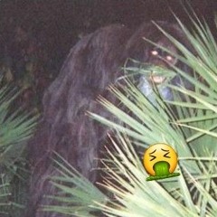 SKUNK APE