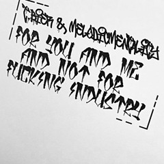 T.Bier & MelodicMentality // FOR YOU AND ME AND NOT FOR FUCKING INDUSTRY