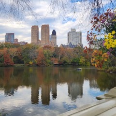 NEW YORK IN AUTUMN IS POETRY