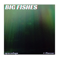 Big Fishes (feat. T-Flavour)
