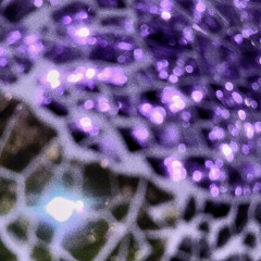 Mellifluous **Prod. Archivesnett x PLAYH.m4a