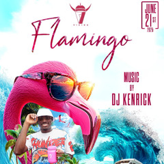 FLAMINGO BOAT RIDE PROMO CD MIXED DJ KENRICK
